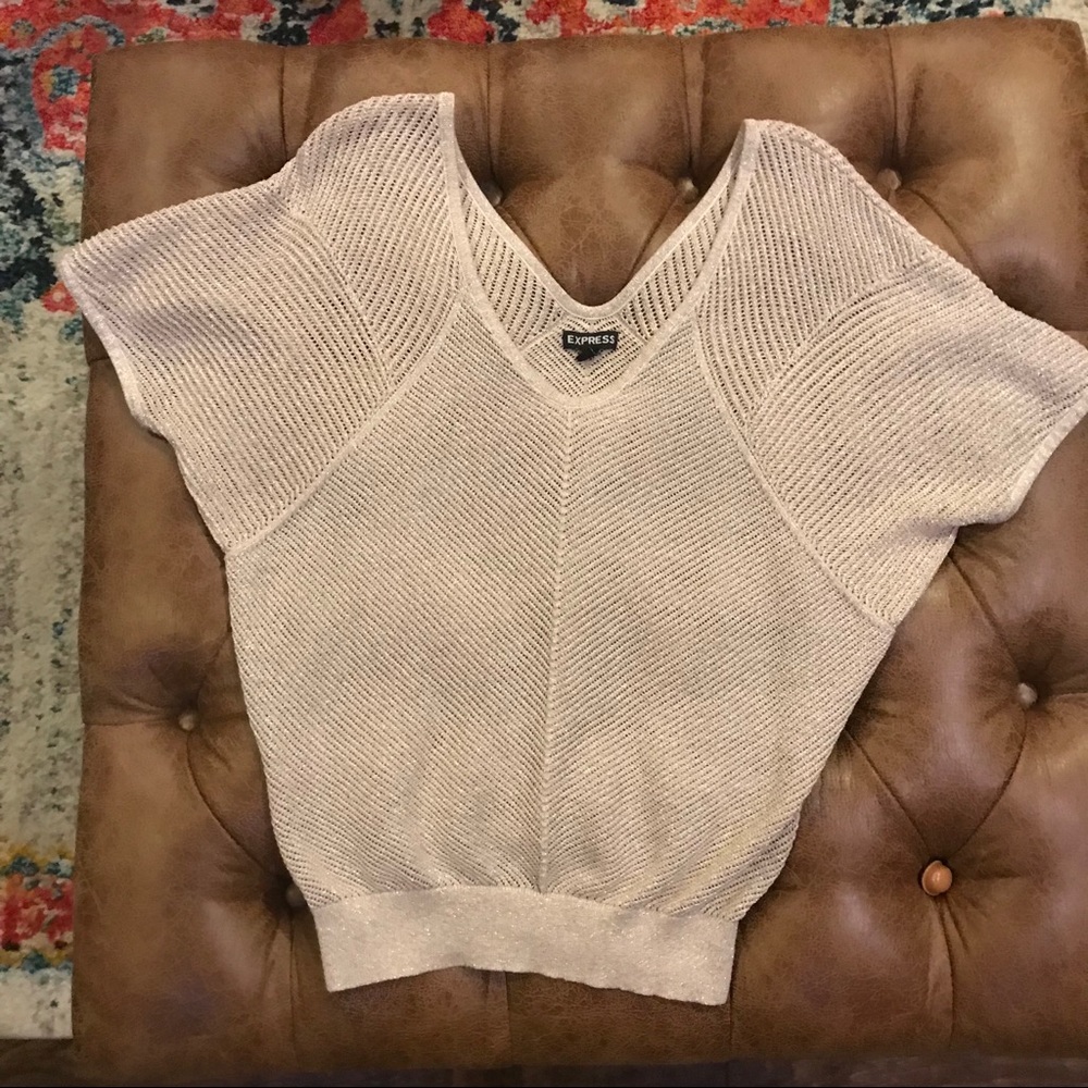 Sheer pinkish cream top from Express